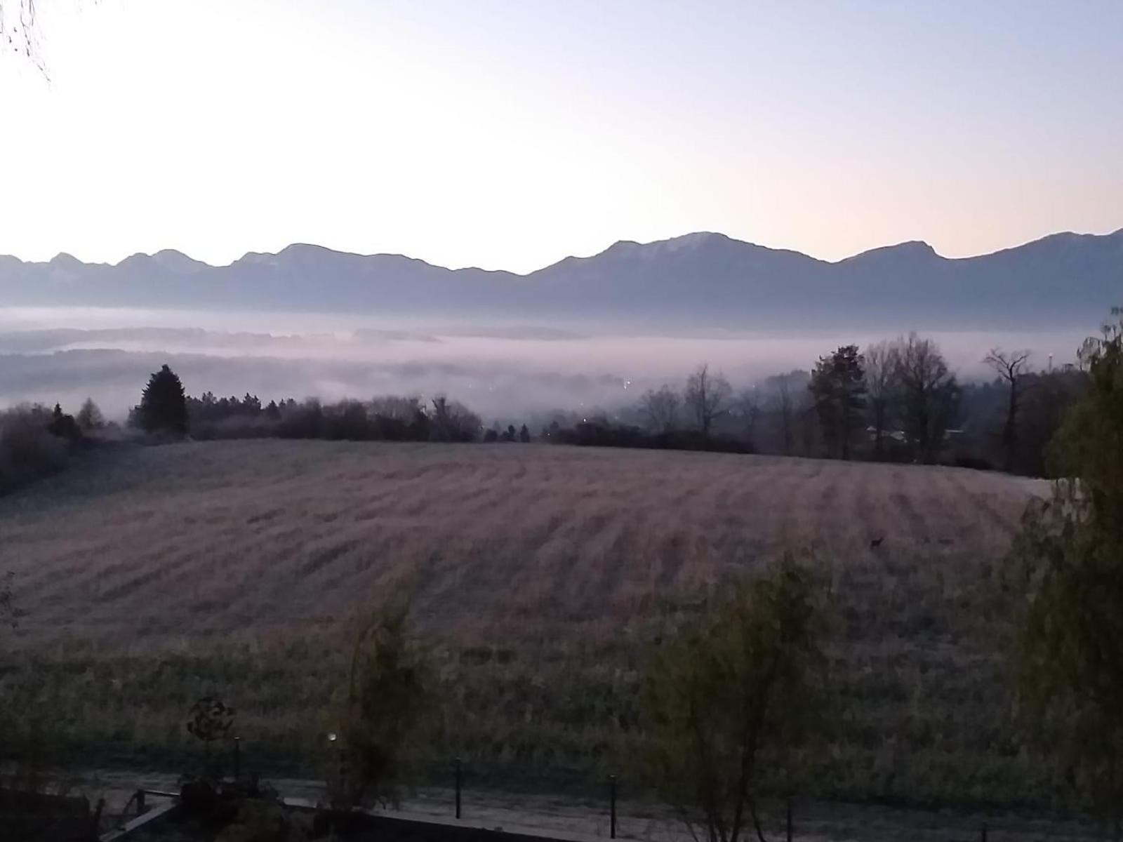 Apartament Schwalbennest Velden Velden am Wörthersee Zewnętrze zdjęcie